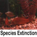 species extinction quotes